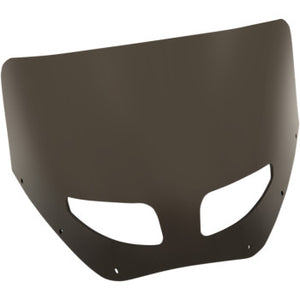 Road Warrior Windshield