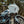 OG 2020-Up Softail Lowrider S & ST Triple Trees kit installed on a 2026 Softail Low Rider ST FXLRST