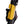 OG Gold 2023-Up Touring CVO Fork Guards