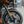 OG Bagger Shorty Carbon Fiber Fender Kit - 2024 to present models Installed on a 2024 Road Glide FLTR